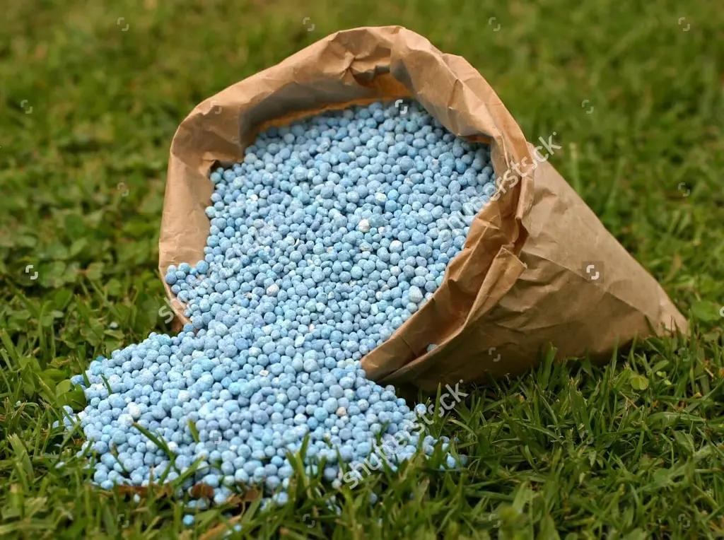 کود